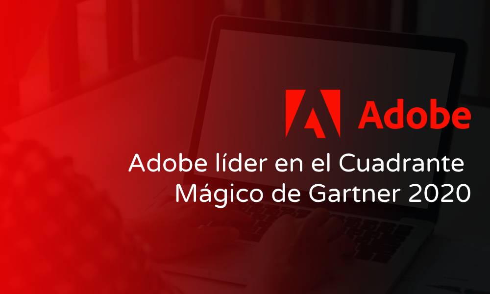 Adobe lider